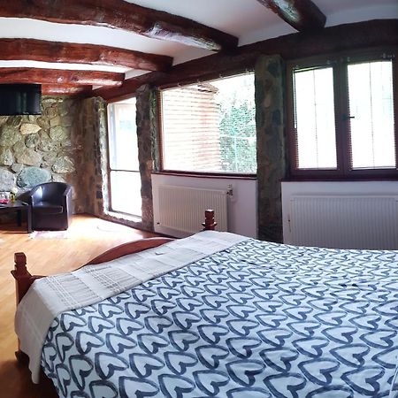 Вилла Casa Bunicului Vistisoara Номер фото