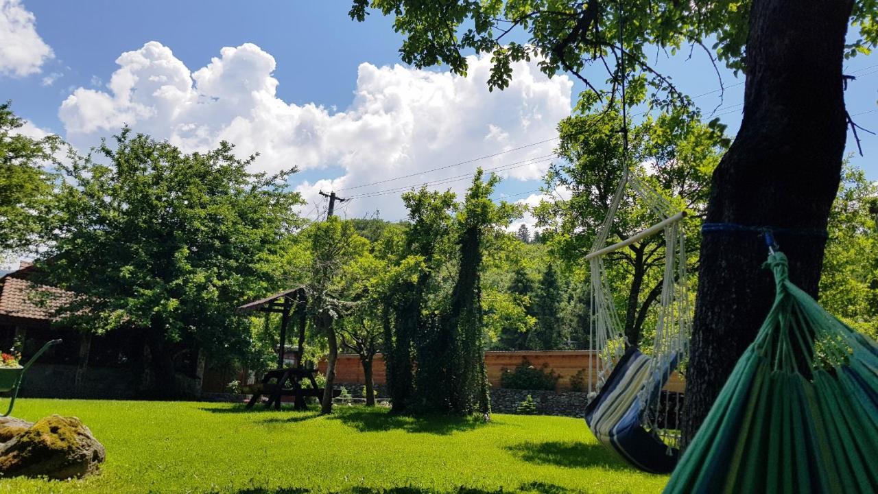 Вилла Casa Bunicului Vistisoara Экстерьер фото