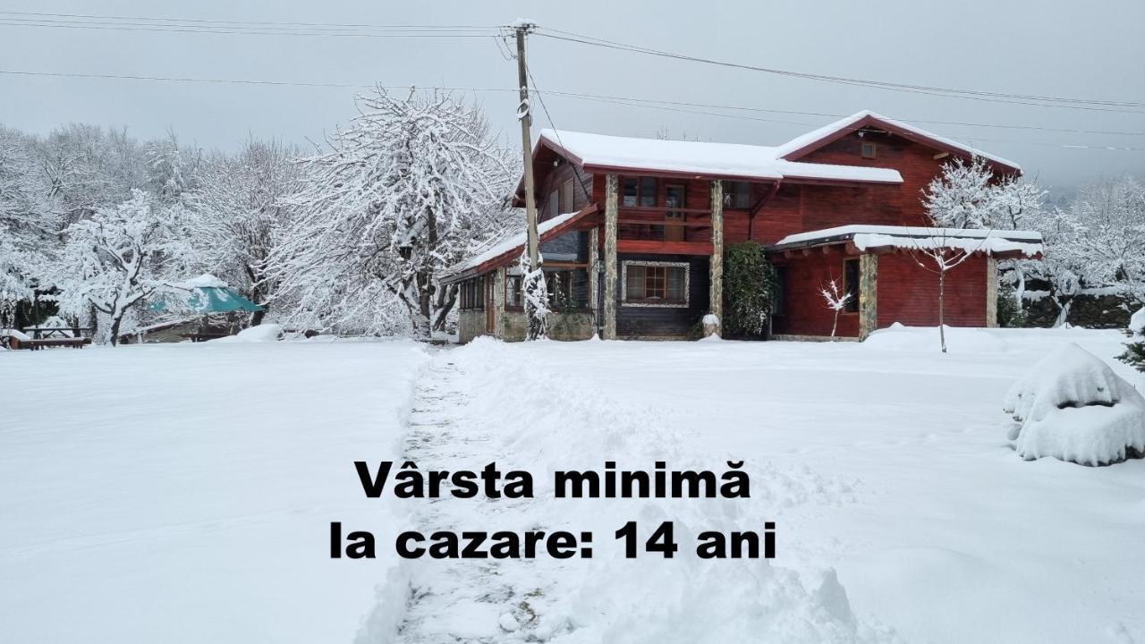 Вилла Casa Bunicului Vistisoara Экстерьер фото