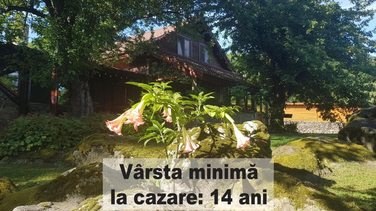 Вилла Casa Bunicului Vistisoara Экстерьер фото