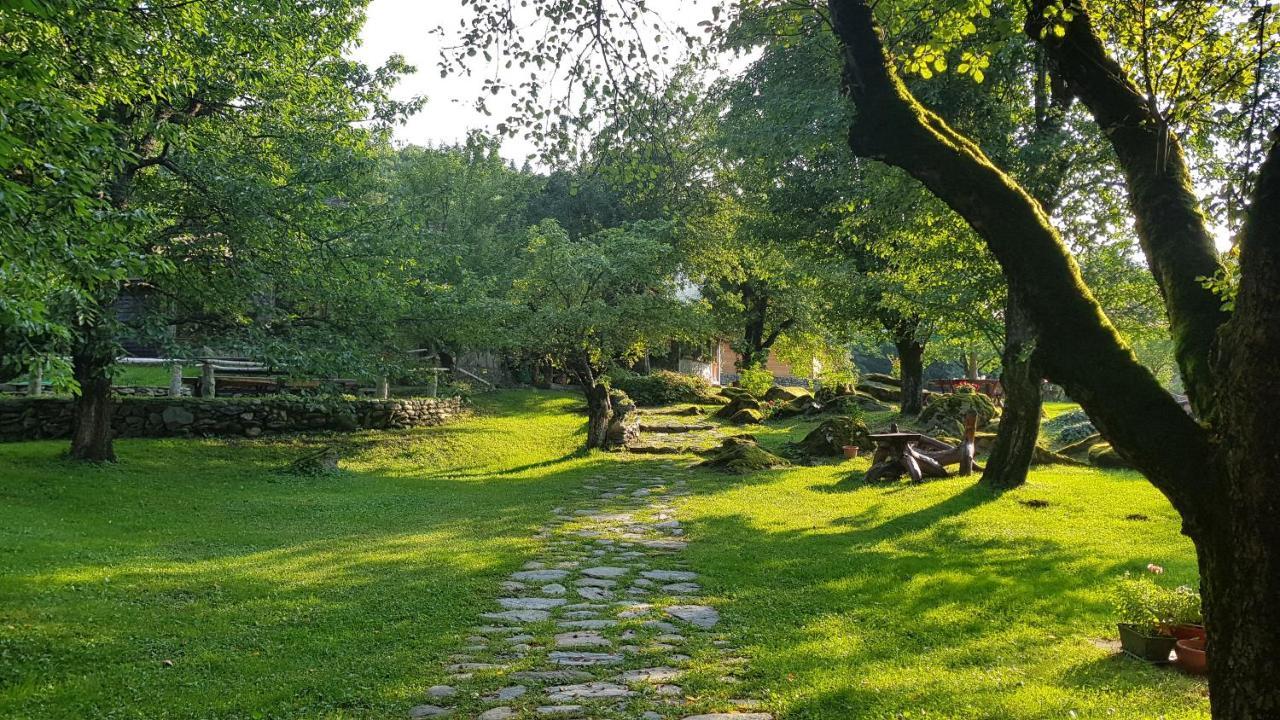 Вилла Casa Bunicului Vistisoara Экстерьер фото