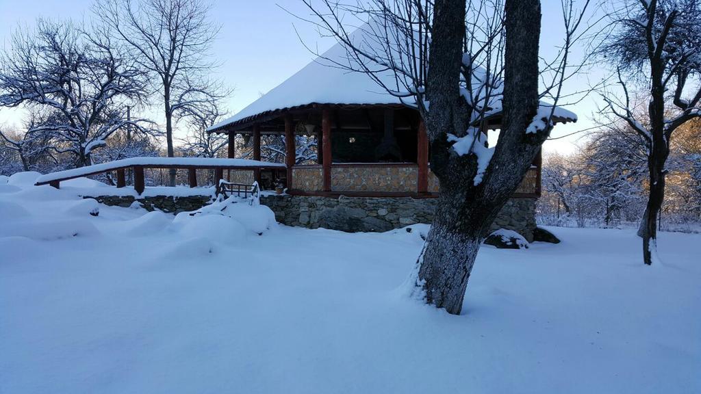 Вилла Casa Bunicului Vistisoara Экстерьер фото
