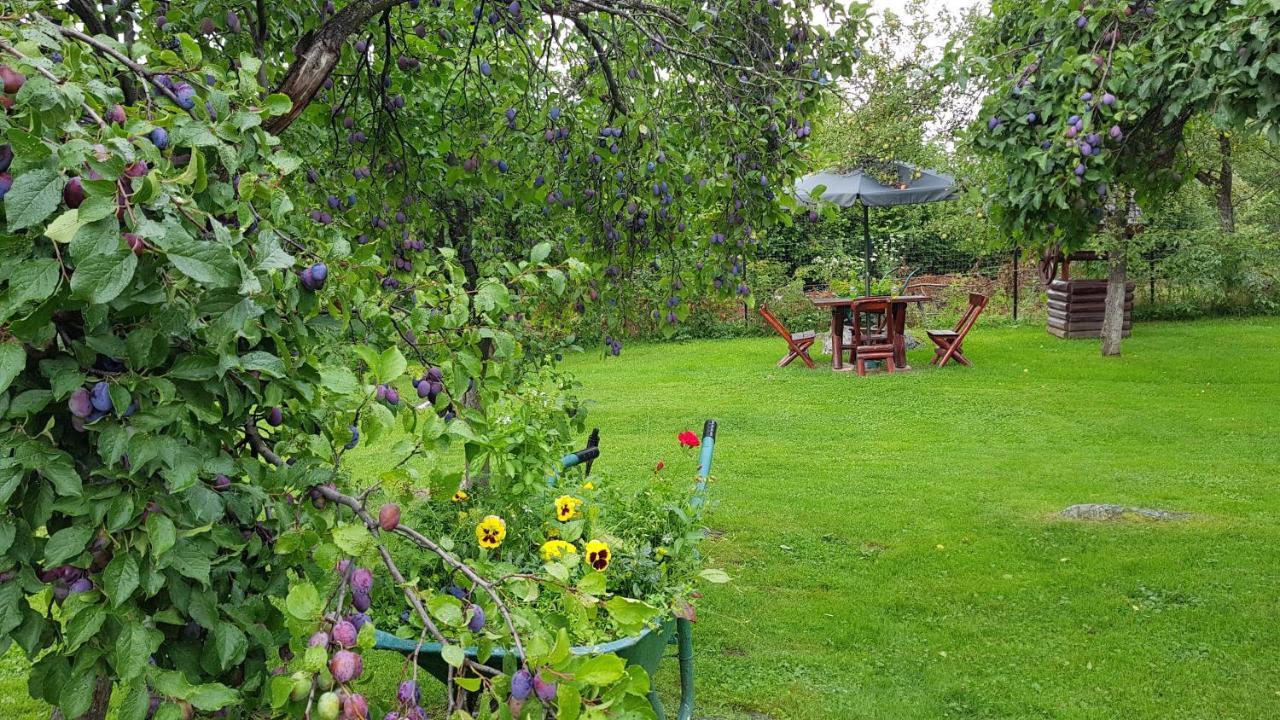 Вилла Casa Bunicului Vistisoara Экстерьер фото