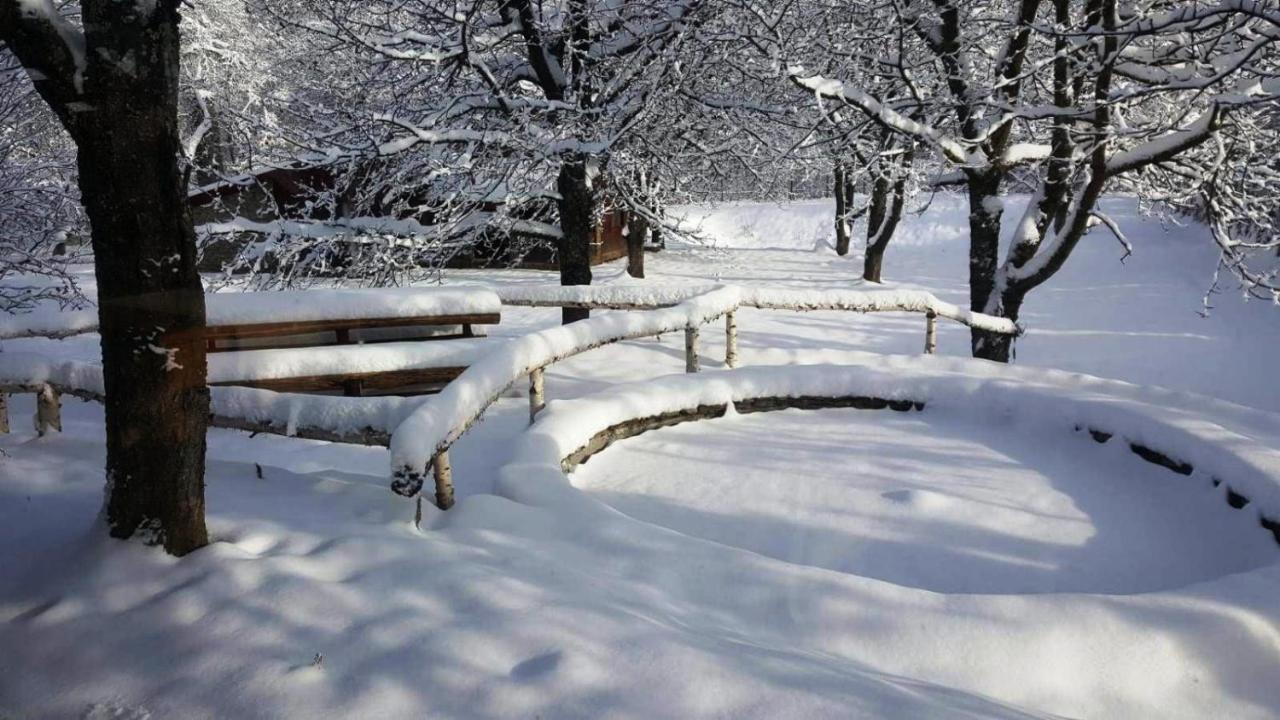 Вилла Casa Bunicului Vistisoara Экстерьер фото
