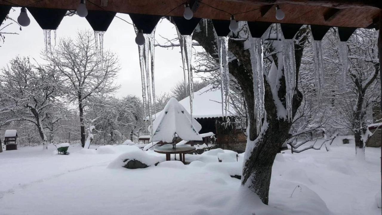 Вилла Casa Bunicului Vistisoara Экстерьер фото