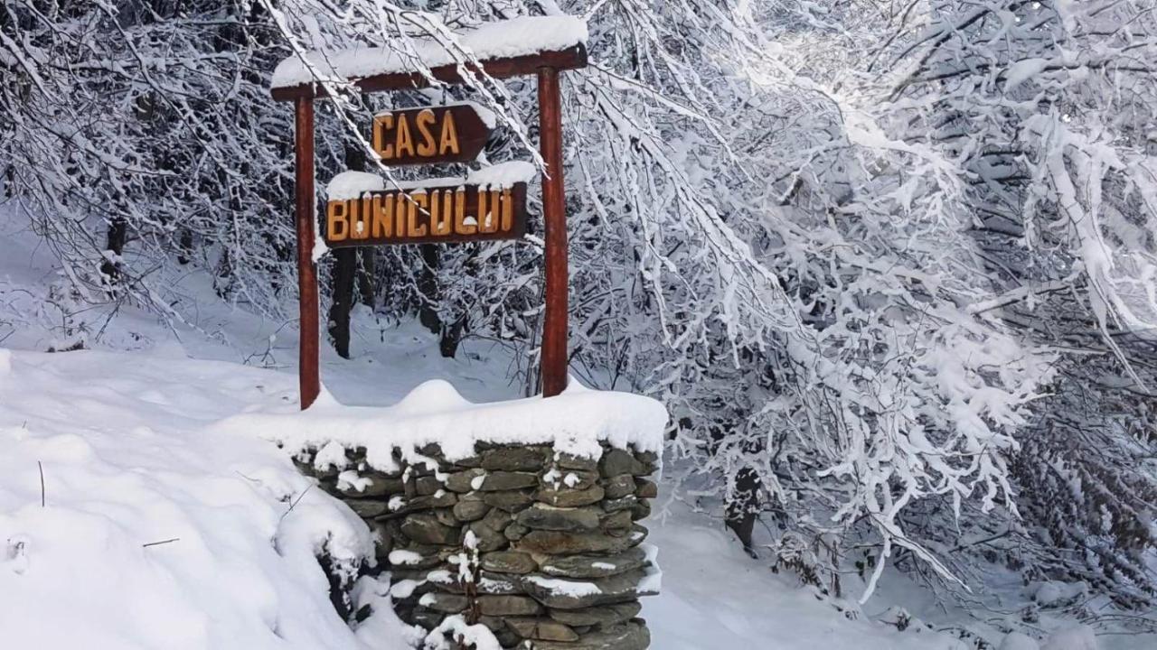 Вилла Casa Bunicului Vistisoara Экстерьер фото