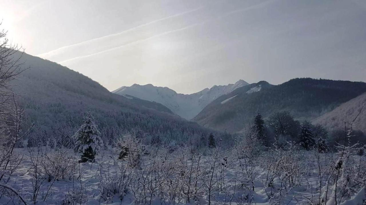 Вилла Casa Bunicului Vistisoara Экстерьер фото