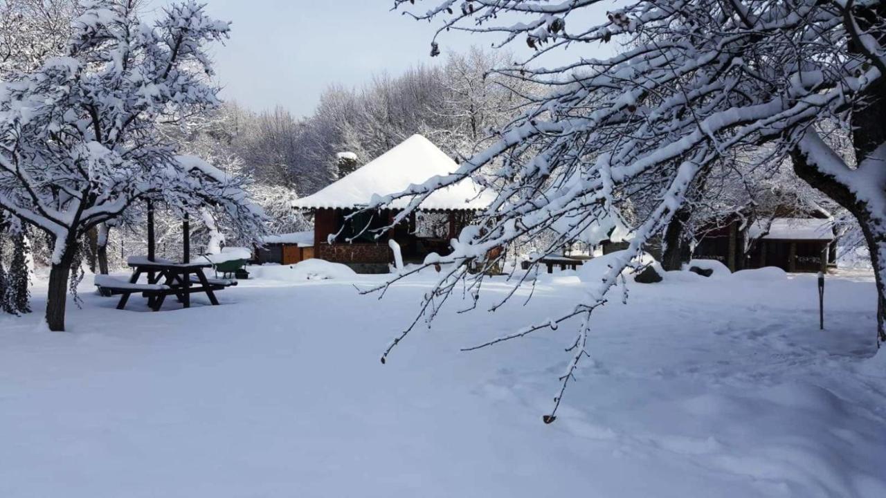 Вилла Casa Bunicului Vistisoara Экстерьер фото